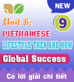UNIT 6 - VIETNAMESE LIFESTYLE THEN AND NOW (2027)